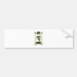 Ogham Runes - Luis Bumper Stickers