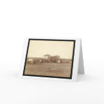 Oglala School & Indian Camp Pine Ridge SD 1891 cards