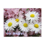 Oh Baby! New Baby pregnancy Announcement cards