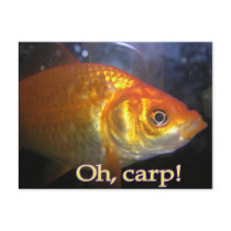 Oh, carp! postcard