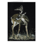 Oh Deer.....Listen! cards