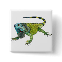 Oh How Iguana Go Home