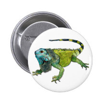 Oh How Iguana Go Home Buttons