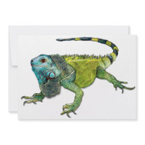 Oh How Iguana Go Home