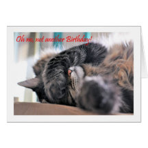 Oh no, not another Birthday! Cat Happy Birthday Greeting Card