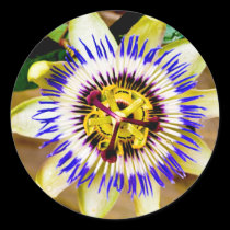 Oh, the Passion stickers