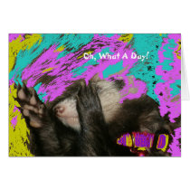Oh, What  A Day!  Ferret Cards