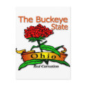 Ohio Buckeye State Red Carnation postcards