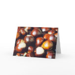 Ohio Buckeyes Cards