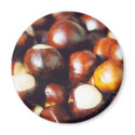 Ohio Buckeyes magnets