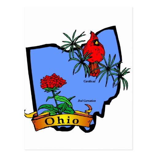 Ohio Postcards