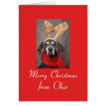 Ohio reindeer pointer merry x-mas greeting cards
