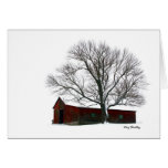 Ohio Winter Barn Cards