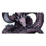 Ohkin Dragon photo cards