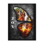 Oil of Joy postcards