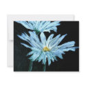 oil painting of white daisy flowers modern art invitations