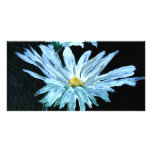 oil painting of white daisy flowers modern art photo cards