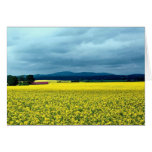 Oil-seed rape, Angus, Scotland at the Cornish Rivi cards