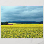 Oil-seed rape, Angus, Scotland at the Cornish Rivi Full Color Flyer