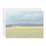 Oil-seed rape, Angus, Scotland at the Cornish Rivi invitations