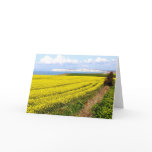 Oilseed rape field in the Isle of Wight cards