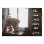 "OK, I WILL SHARE MY SPACE-WITH YOU" cards