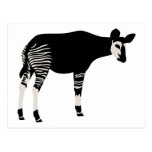 Okapi Post Card