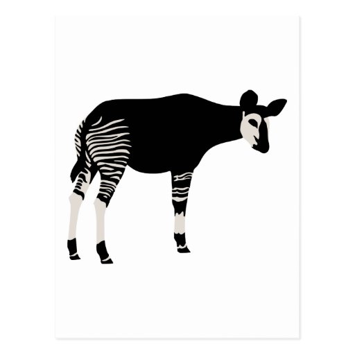 Okapi Post Cards
