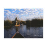 Okavango Delta Postcard