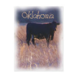 Oklahoma postcards