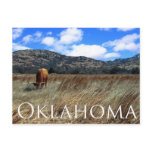 Oklahoma Prairie Postcard