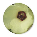 Okra Bloom Magnet