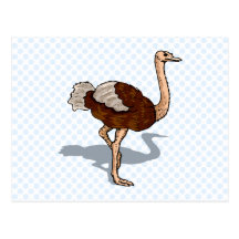 Olaf Ostrich Postcards