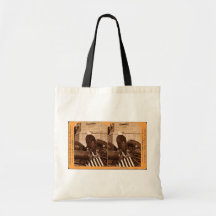 Old Abe, The Wisconsin War Eagle- Stereoview Canvas Bags