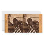 Old Abe, The Wisconsin War Eagle- Stereoview photo cards