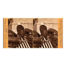 Old Abe, The Wisconsin War Eagle- Stereoview Personalized Photo Card