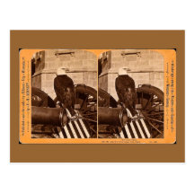 Old Abe, The Wisconsin War Eagle- Stereoview Post Card