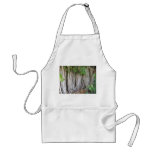Old ancient ficus tree roots background picture aprons