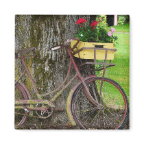 Old Antique Bicycle with Flower Basket