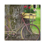 Old Antique Bicycle with Flower Basket magnets