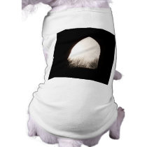 Old arch window, with Winter Trees. Dog Shirt