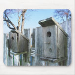 Old Bird Houses a ~ mousepad