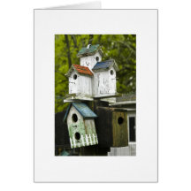 Old Birdhouses Card
