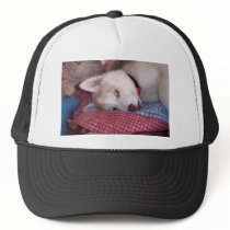 Old Blue Eyes Mesh Hat