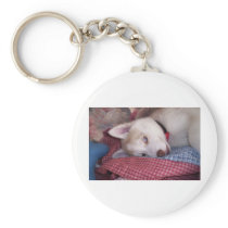Old Blue Eyes Key Chain