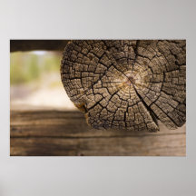 Old Cabin Texture Posters