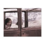 Old Car II Postcards