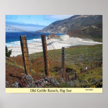 Old Cattle Ranch, Big Sur, California Posters