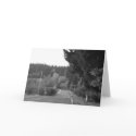 Old Country Road Card