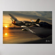 Old Crow at Sunset Poster